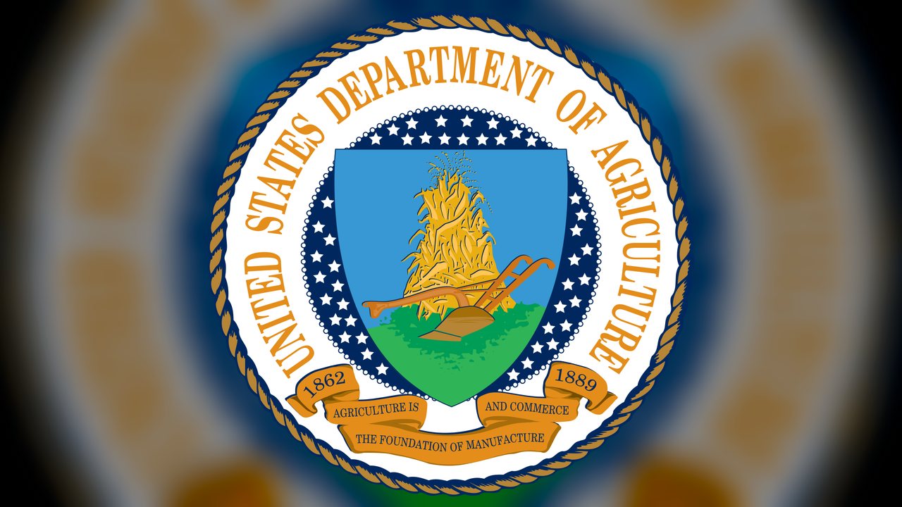 USDA surpreende com dados dos EUA e soja despenca na Bolsa de Chicago