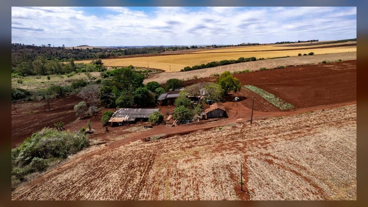 Faep cobra do STF agilidade em temas do agronegócio em meio à crise na Corte