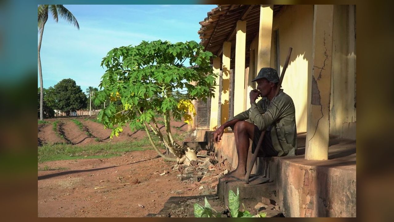 Recuperações judiciais no agronegócio atingem recorde e Mato Grosso lidera pedidos no país