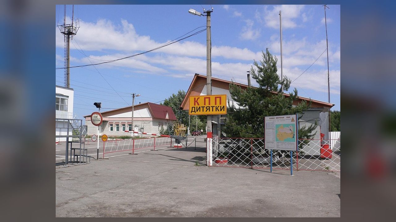 Estudo mostra que guerra na Ucrânia alterou comportamento de animais em Chernobyl