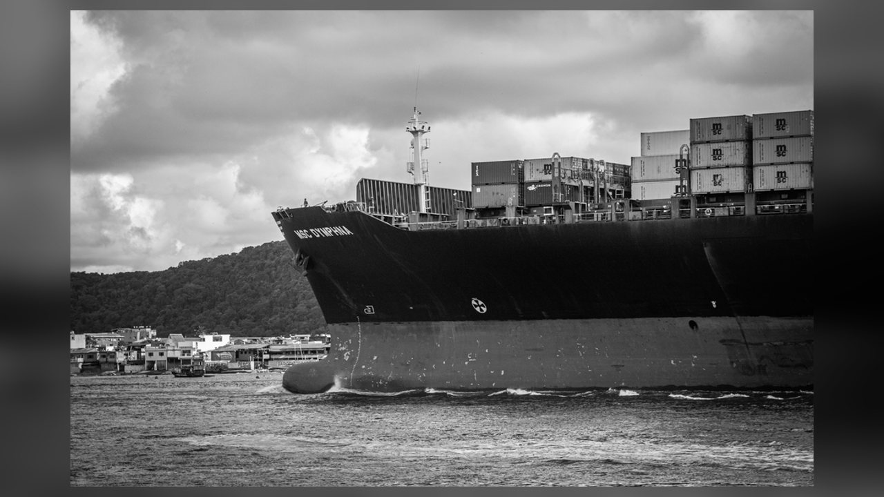 Cade aprova sem restrições reorganização entre Maersk e MSC na BTP em Santos