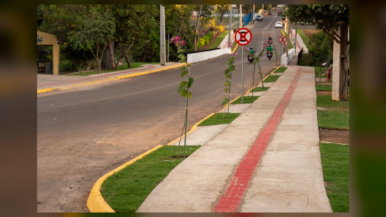 Rondonópolis amplia arborização urbana e distribui 1.500 mudas em ação com iniciativa privada