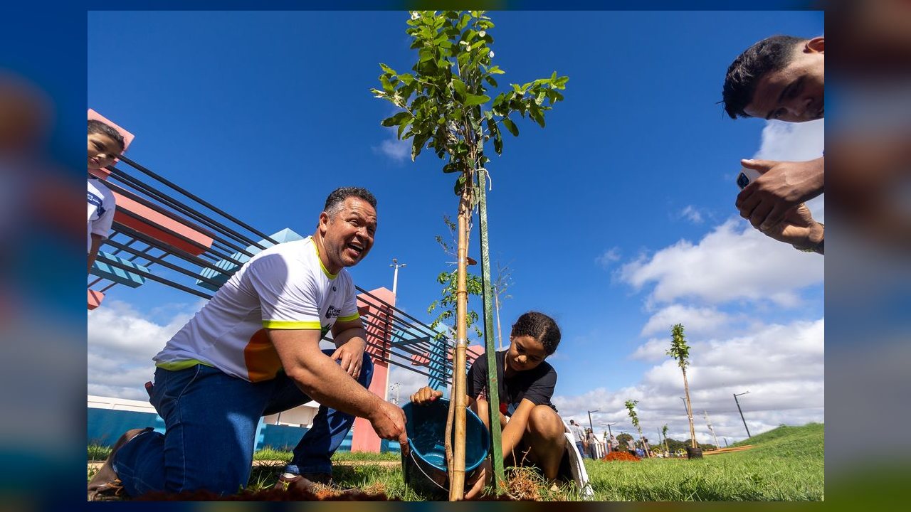 Rondonópolis celebra Dia da Árvore com avanços no programa de arborização urbana